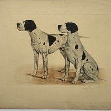 Stampa antica cani da caccia