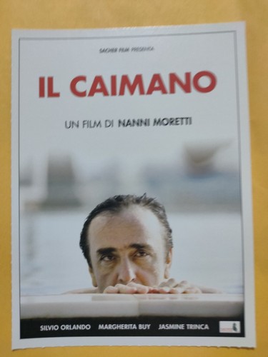 Caimano cartolina mini - caimano,