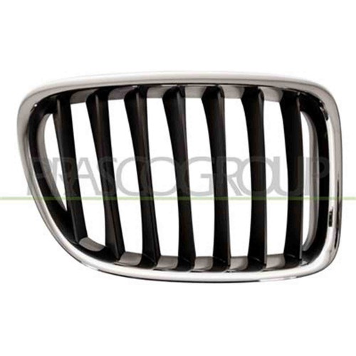 Griglia radiatore destra bmw - griglia,