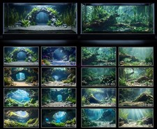 Poster acquario acquario