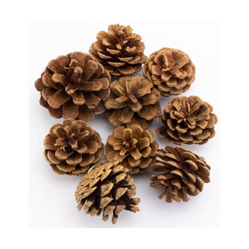 Pigne stafil 130 g - stafil, cm