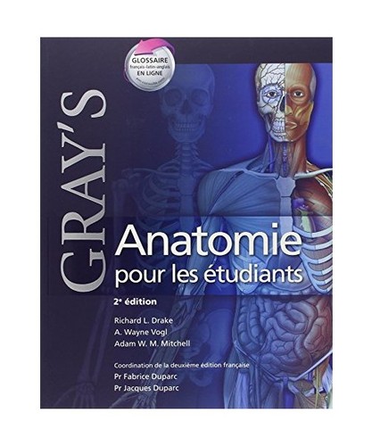 Gray anatomie pour - gray's,