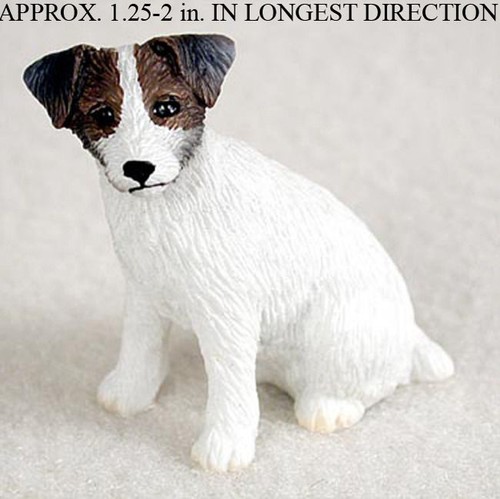 Jack russell terrier mini - jack,