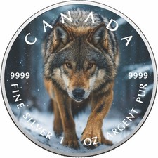  2026 Canada 1 oz 9999 argento