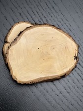 10 pezzi fette di legno dischi
