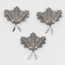 3 Pezzi Zanne di Cinghiale