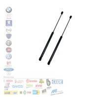 COPPIA 2 MOLLE A GAS POSTERIORI BAGAGLIAIO FIAT CINQUECENTO SEICENTO