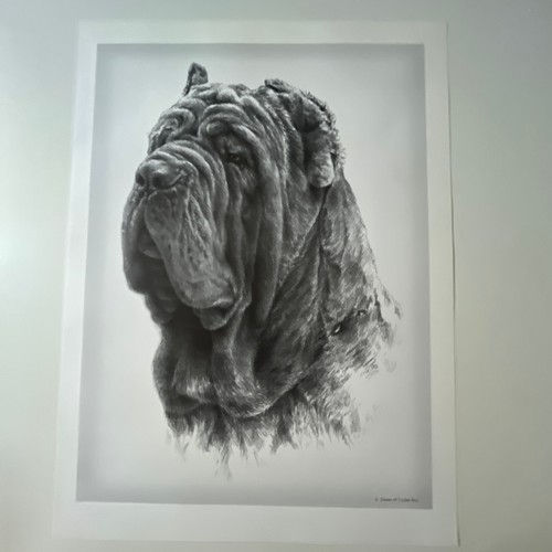 Piatto libro cane mastino - piatto,