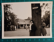 FOTO DONNA ANIMATA GERMANIA BUNTE STUBE 1961 ( F 38 )
