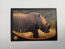 FIGURINA ANIMAL CHAMPIONS