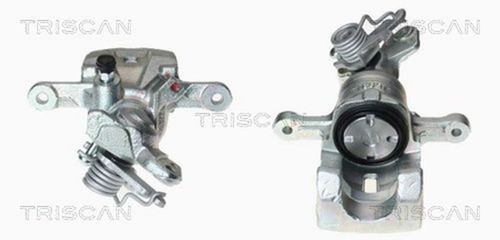 Pinza freno triscan 8170 - freno,