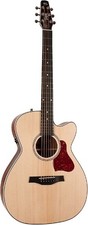 Chitarra acustica-elettrica