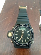 Citizen Aqualand Promaster In