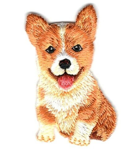 Corgi puppy ferro - su, toppa