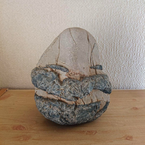 Pietra giapponese suiseki - pietra,