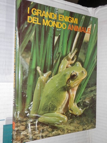 Grandi enigmi del - enigmi, mondo