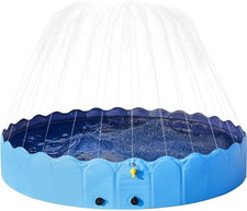 Piscina per cani gatti - piscina,