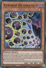 Yu-Gi-Oh! Kuriboh Détonateur