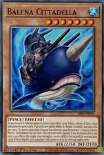 Balena Cittadella - Comune -