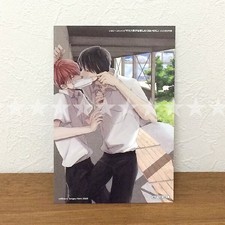 Bonus solo Il ragazzo