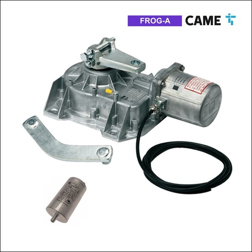 Came 001frog - came, –