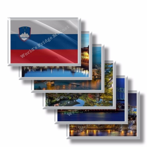 Slovenia frigo calamite - si,