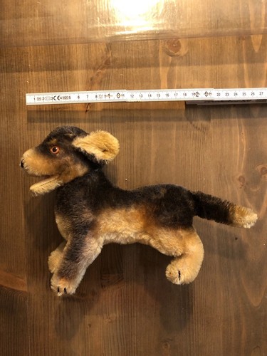 Bassotto nano steiff - bassotto,