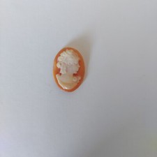 Cammei Camei Cameo Conchiglia