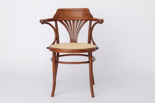 Sedia vintage legno - legno, curvato