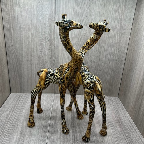 Vie safari collezione - la,