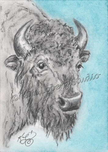 Aceo originale buffalo - aceo,