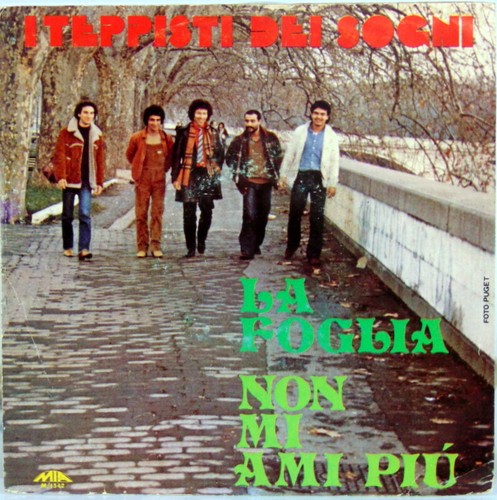 Disco vinile giri foglia - giri, la