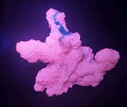Minerali◇Aragonite