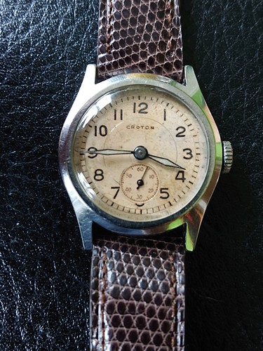 Croton all steel clamshell