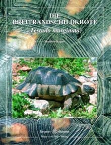Die breitrandschildkröte - die,