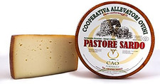 4.2 Kg - Pastore Sardo