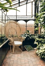 Poltrona Pavone Peacock Rattan