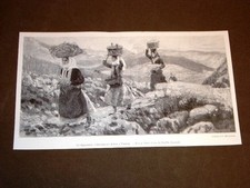 Nell'Abruzzo Donne che trasportano cesti sulla testa di Camillo Innocenti