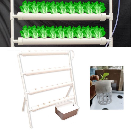 Kit coltivazione idroponica - , 36