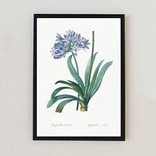 Illustrazione floreale vintage