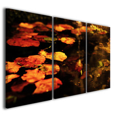 Quadri moderni natura Sospese