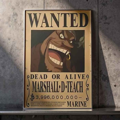 One piece taglia - piece, wanted