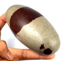 Arredo Casa 489 Gram / 4.58 "