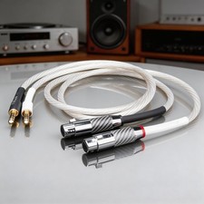 Coppia Microfono Cavo Audio