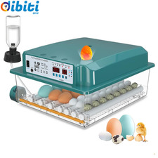 Incubatrice per Uova