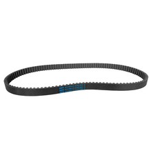 MF7395 Cinghia Trasmissione