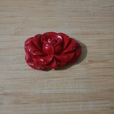 corallo rosso Incisione a