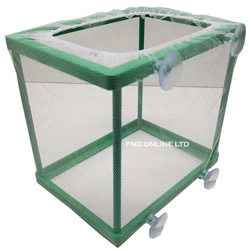 Acquario pesci hatchery tank - acquario,