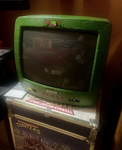 Teenage mutant ninja - teenage,