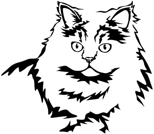 Adesivo gatto persiano - gatto,